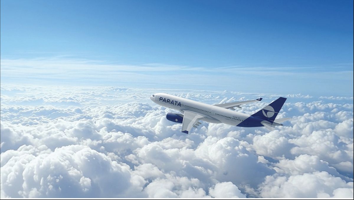 PARATA航空　機影