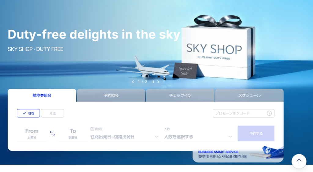 パラタ航空ホームページ